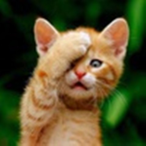 Вадим Ивлев | Белебей