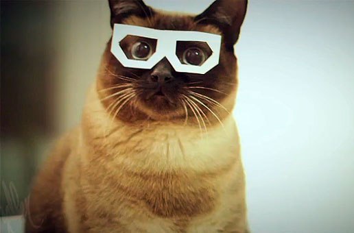 Екатерина Катасонова | Bratislava