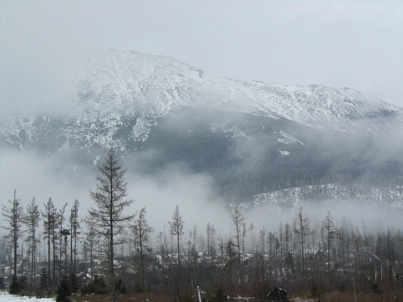 Алексей Шинкарук | 
