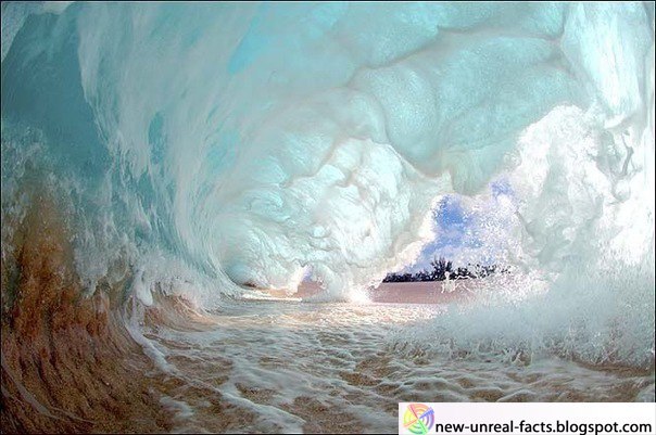 Павел Петров | Воронеж