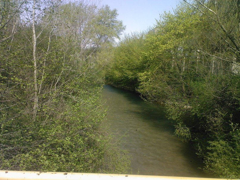 Алексей Родионенко | Симферополь