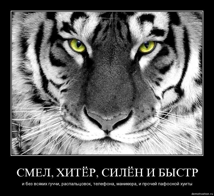 Денис Карпов | Ярославль