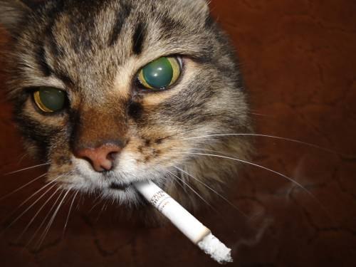 Саня Смотрицкий | Ужгород