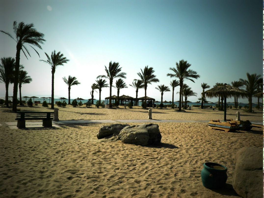 Максим Бердник | Краснознаменск