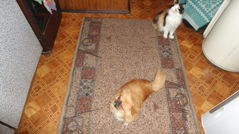 Влад Адамов vlad | Никополь