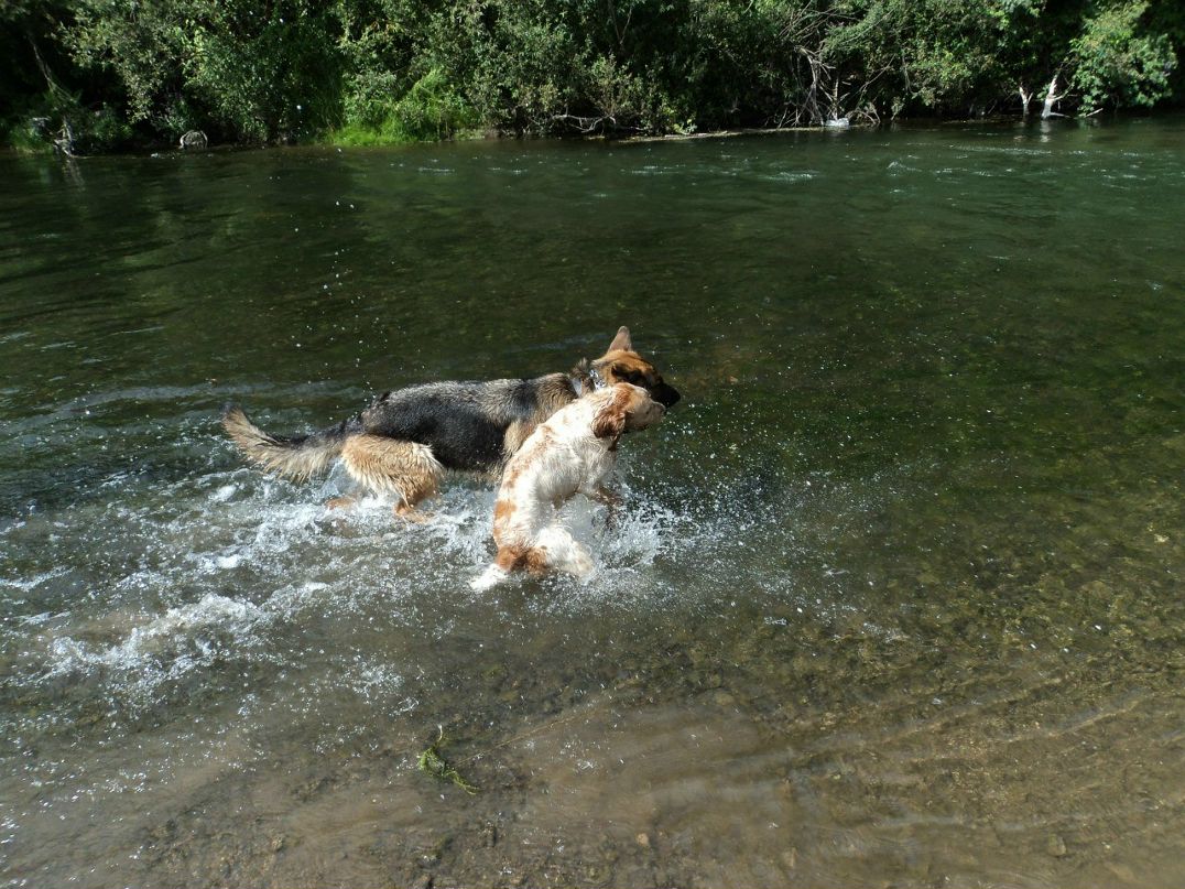 Лилия Панкратова | Новосибирск