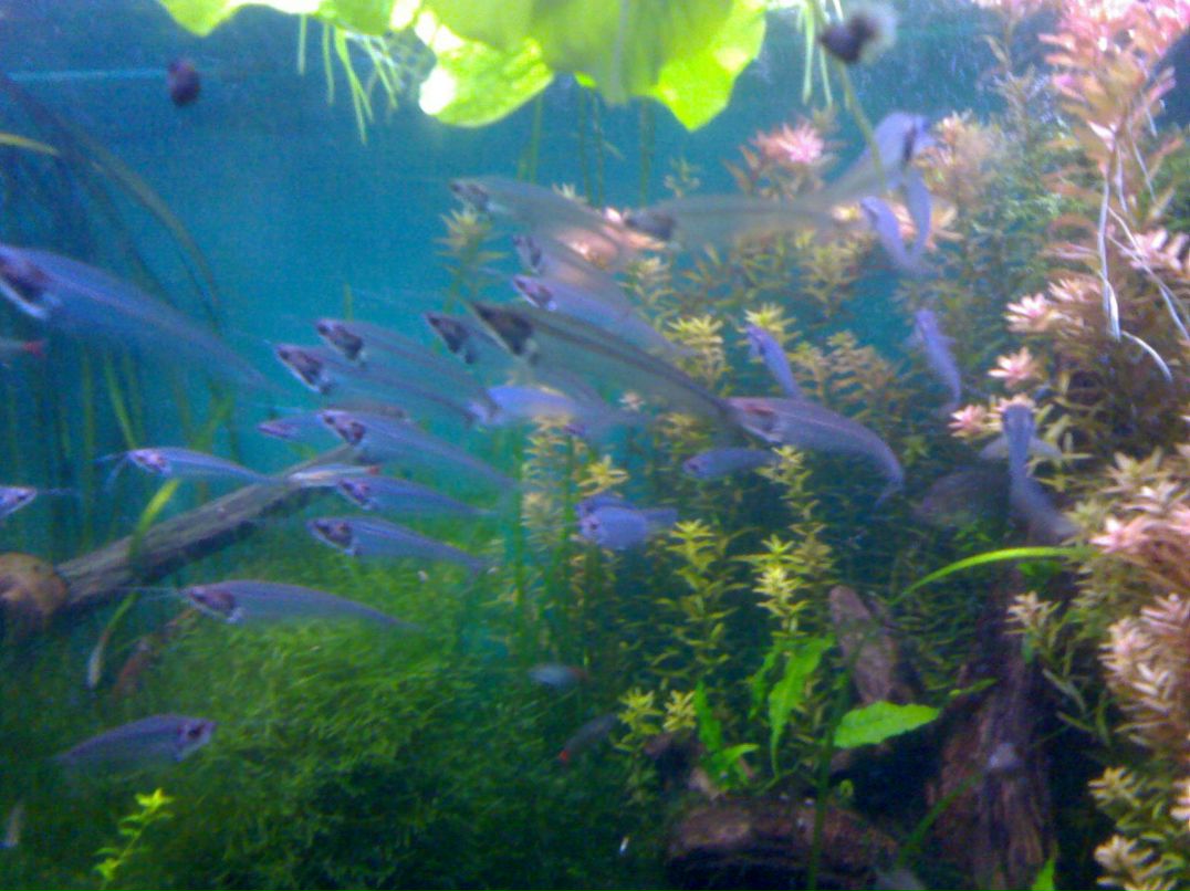 Стас Снитко | Санкт-Петербург