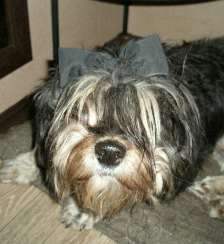 Rina Kipriyanova | Архангельск