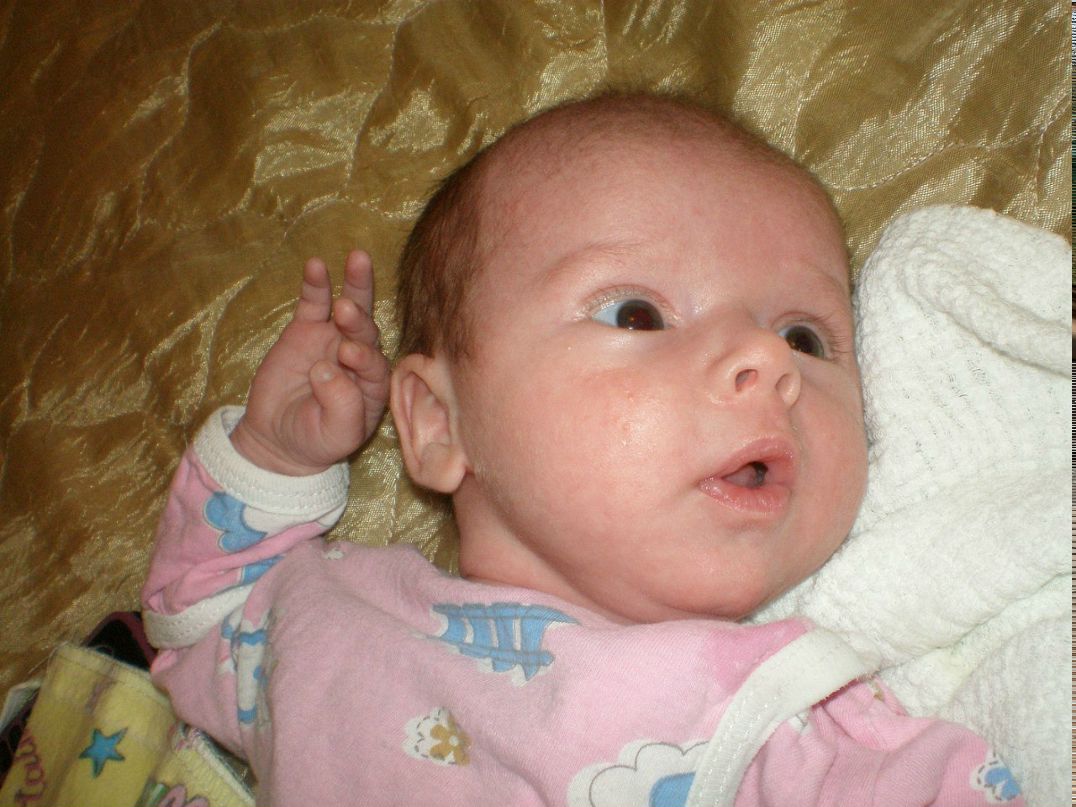 Ирина Масолович | Чоп