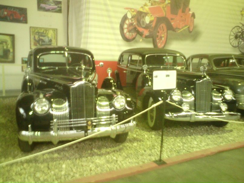 Дмитрий Николаев | Завидово