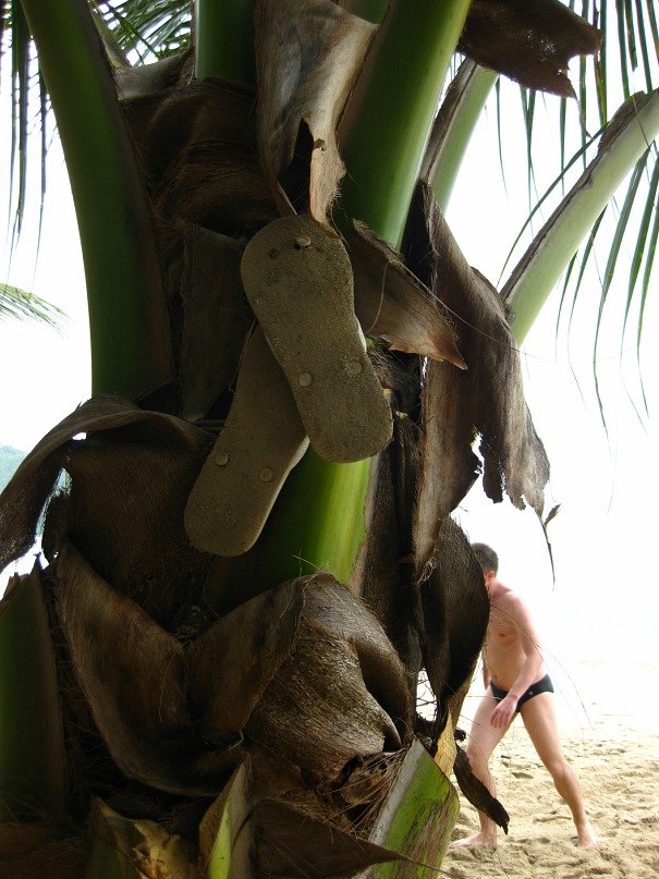 Феофана Ромашкина | Санкт-Петербург