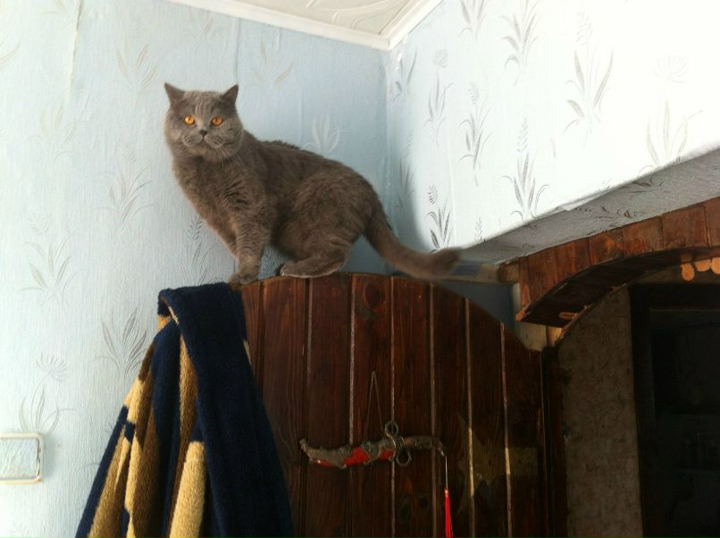 Евгений Калинин | Талдом