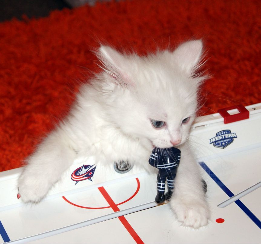 Мария Семёнова | Ханты-Мансийск