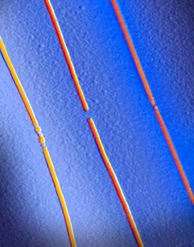 Валентин Тишин | 