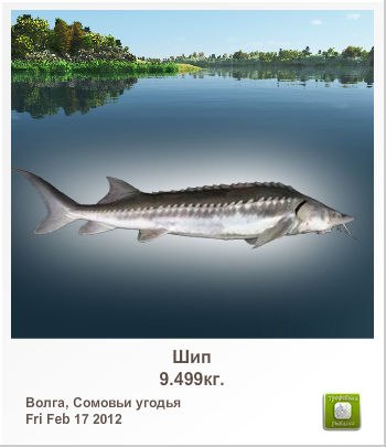 Александр Косых | 