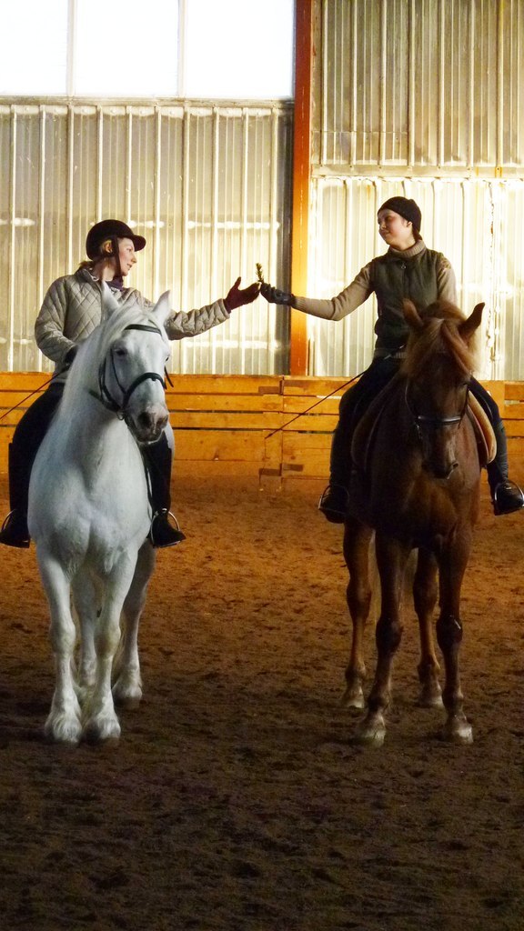 Анастасия Наливайко | Санкт-Петербург