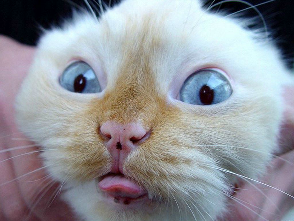 Жека Суконкин John | Ачинск