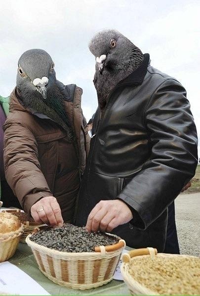 Leila Karaeva | Gdańsk