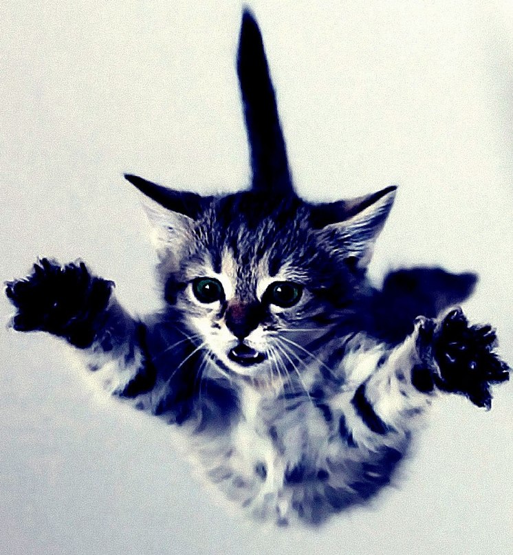 Ильнар Багманов | Казань