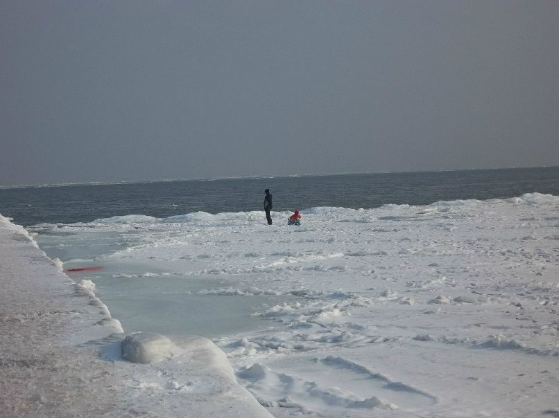 Radion Geforce | Минск