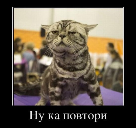 Аркадий Гуревич | 