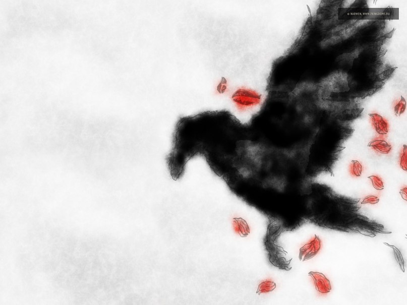 Екатерина Майн Meer-Himmel | Atlanta