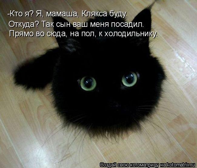 Алина Татаркина | Новокузнецк