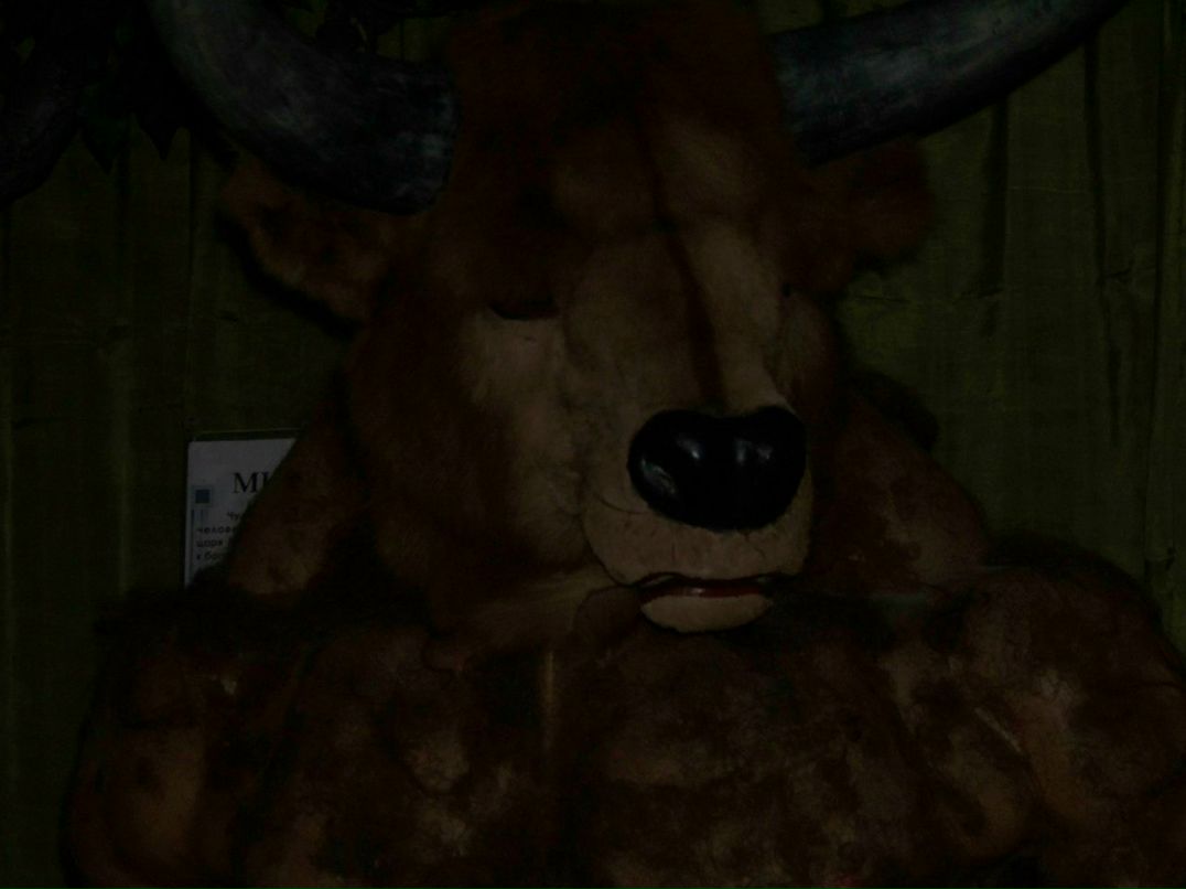 Алёна Галенза *Syrena | Кременчуг