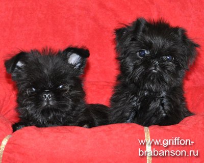 Катерина Волкова ˜”*°•♀ - ☼•°*”˜ | Москва