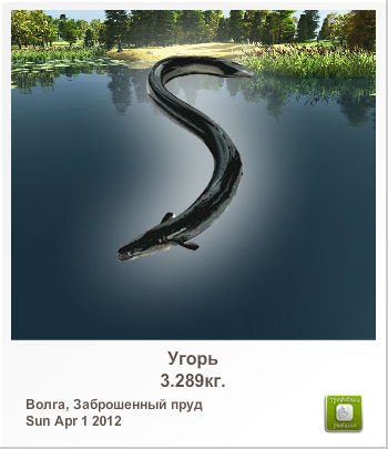 Алексей Сыромятников | Колпино