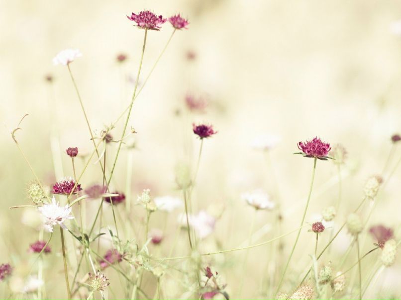 Анастасия Иванова | Таллин