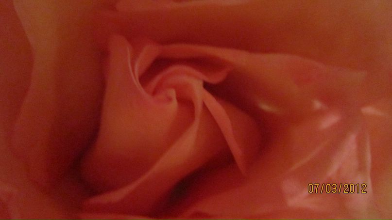 Лерока Павлютина | Москва