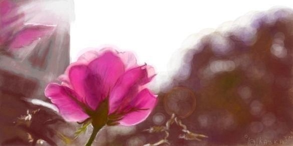 №72, Катя Игнатьева, 39 лет, Санкт-Петербург, Россия №72, Катя Игнатьева, 39 лет, Санкт-Петербург, Россия