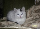 Фотография Мария Соловьёва