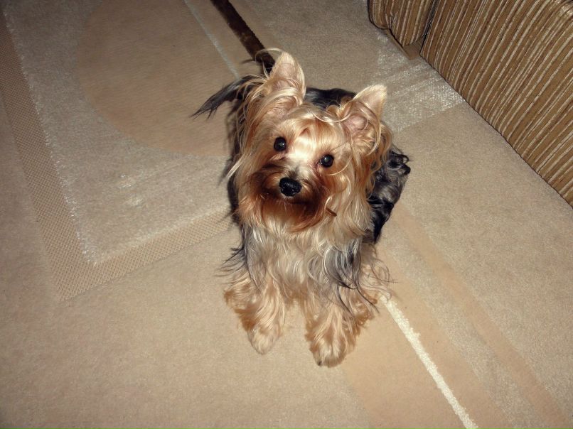 Влада Каримова | Казань