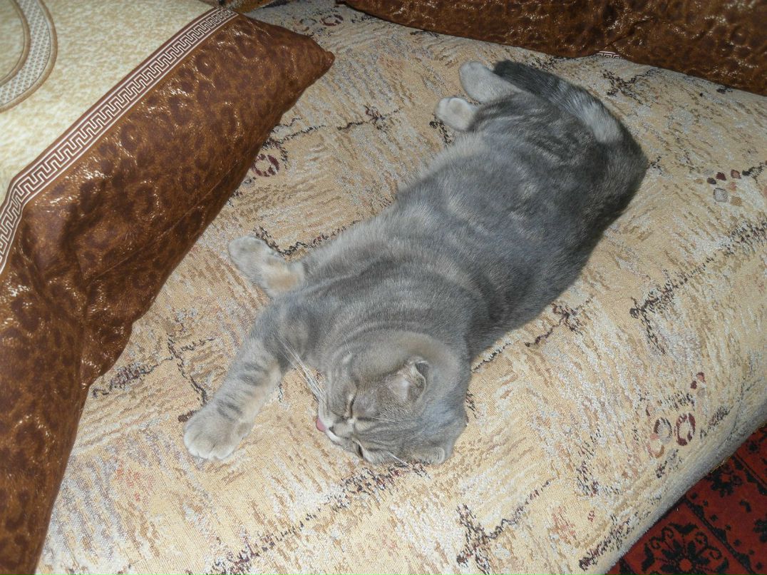 Инна Китаева | Зеленоград