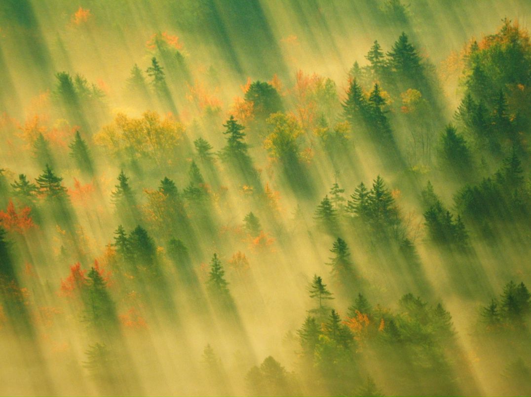 Максим Глушенков MACK_SIM_US | 