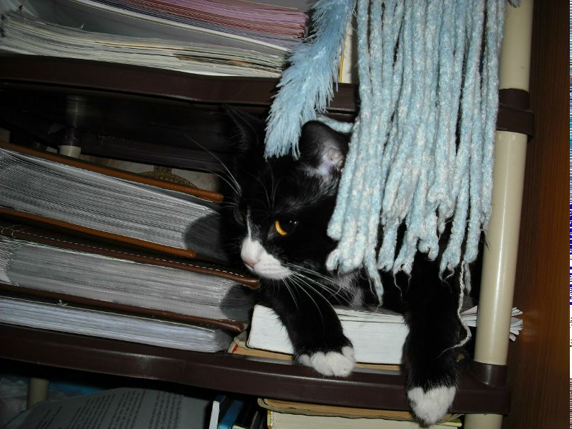 Елена Мельник | Винница