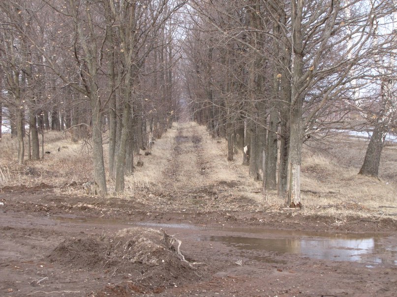 Лёха Мокшин | Kingston