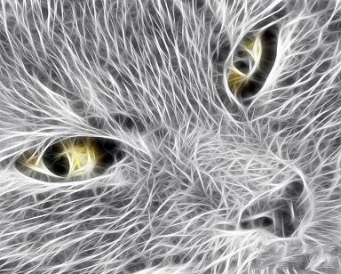 Марина Локтионова | Новосибирск