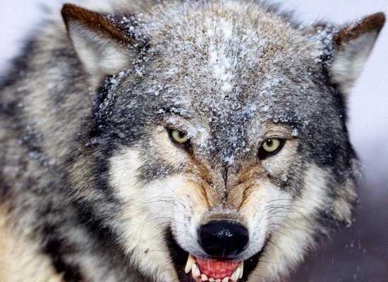 Александр Авдеев | Москва