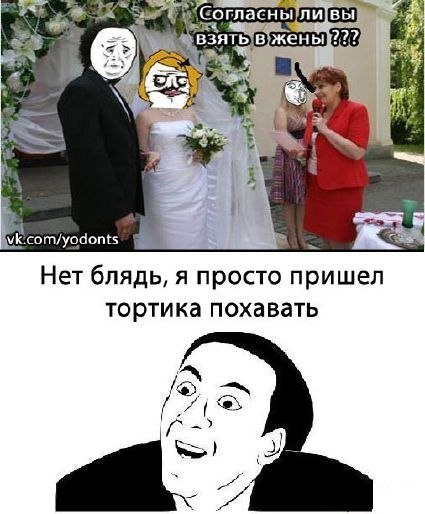 №50, Ярослав Бондарь №50, Ярослав Бондарь