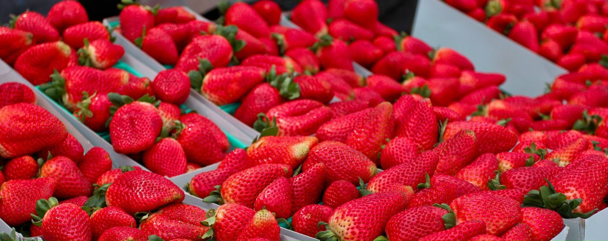 Ольга Власенко | Aachen