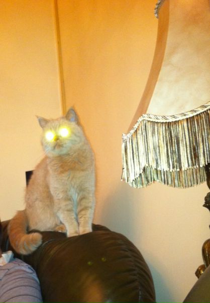 №6, Katya Weber, Санкт-Петербург №6, Katya Weber, Санкт-Петербург