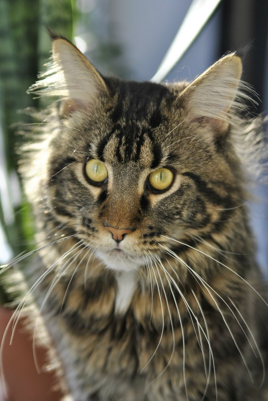 Евгения Седлецкая ❤ i'm ℓo√ﻉ❤ | Калининград