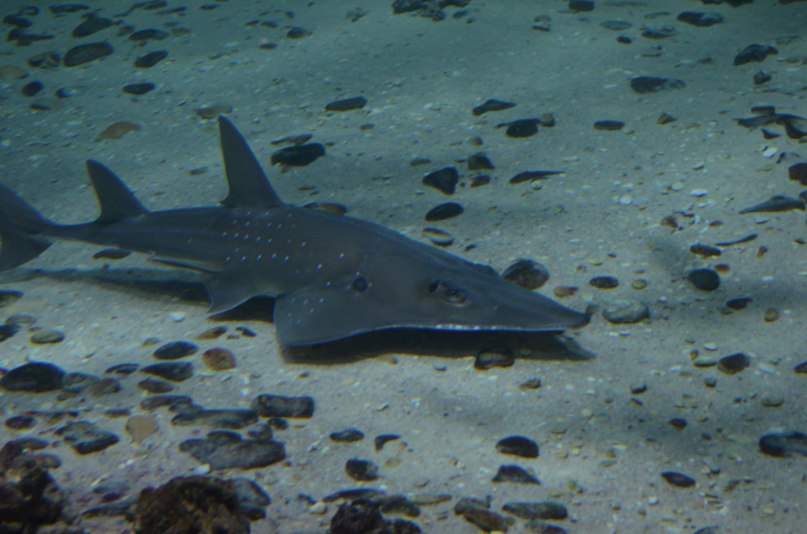 Денис Алфёров | Москва