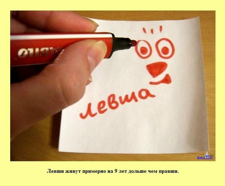 №128, Дмитрий Матросов, Реутов №128, Дмитрий Матросов, Реутов