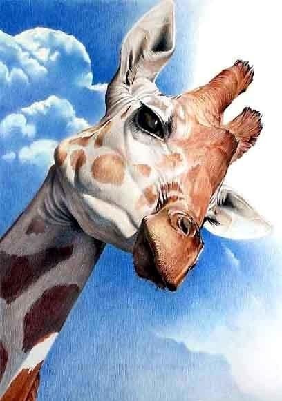 Екатерина Тихонова | Сыктывкар