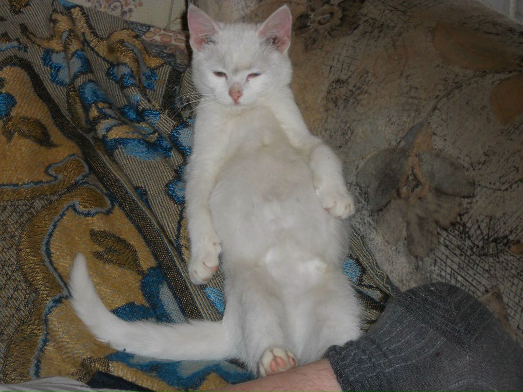 Алла Любовина | Петрозаводск