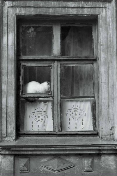 Иван Романенко фото профиля #31